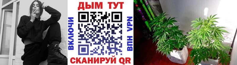 гидра ссылка  где купить наркоту  Бобров  Бошки марихуана THC 21% 